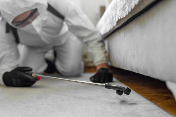 Professional Bed Bug Control technician working in College Park, GA