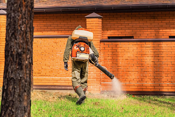 Trusted Rodent Control service in College Park, GA - Nex Pest Control